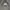 Hoodie Dickies Abu Misty Autenthic