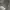Hoodie Dickies Abu Misty Autenthic photo 1