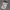 Hoodie zip Adidas Spell Out Autenthic photo 6