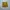 Zara Casual Short Pria yellow photo 2