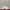 Nike Streetwear Sportswear Sneakers Wanita White