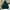 BEN DAVIS -HEAVYWEIGHT HOODIE AUTUMN WINTER 2019 photo 2