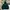 BEN DAVIS -HEAVYWEIGHT HOODIE AUTUMN WINTER 2019