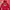 Jacket Pancoat Merah