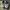 Nike Air Force 1 photo 4