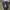 Nike Air Force 1 photo 5