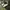 Nike Air Force 1 photo 1