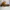 Adidas Gazelle Indoor x Gucci - Size 43 - Monogram - Sneaker photo 5
