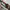 Vans Authentic - Costum Marvel - Size 36 - Kids Sneakers  photo 8