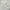 Nike Air Force Son - Size 44 - 45 - Triple White - Putih  photo 4
