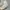 Nike Air Force Son - Size 44 - 45 - Triple White - Putih  photo 5