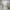 Nike Air Force Son - Size 44 - 45 - Triple White - Putih  photo 7