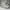 Balenciaga Track Trainer - Size 38 - Triple White - Sneakers photo 4
