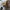 Nike Air Jordan 1 x Louis Vuitton x Off White - Size 44 - 45 photo 8