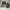 Nike Air Jordan 1 x Louis Vuitton x Off White - Size 44 - 45 photo 4