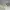 Nike Fear of God Air Raid - Size 40 - 41 - Light Bone photo 4