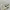 Nike Fear of God Air Raid - Size 40 - 41 - Light Bone photo 5