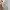 Nike Fear of God Air Raid - Size 40 - 41 - Light Bone photo 6