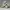 Nike Fear of God Air Raid - Size 40 - 41 - Light Bone photo 3