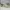 Nike Fear of God Air Raid - Size 40 - 41 - Light Bone photo 2