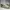 Nike Fear of God Air Raid - Size 40 - 41 - Light Bone photo 1
