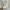 Nike Fear of God 1 - Size 44 - 45 - Light Bone - Sneakers  photo 5