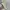 Nike Fear of God 1 - Size 44 - 45 - Light Bone - Sneakers  photo 4