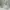 Nike Fear of God 1 - Size 44 - 45 - Light Bone - Sneakers  photo 2
