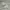Nike Air Jordan Retro 6 - Size 45 - 46 | Triple White Full  photo 1