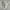 Nike Air Jordan Retro 6 - Size 45 - 46 | Triple White Full  photo 2