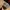 Thomas & Friends Copyright 2007 The Tank Engine Conductor photo 6
