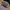 Thomas & Friends Copyright 2007 The Tank Engine Conductor photo 2