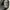 GUESS BY MARCIANO BODYCON DRESS photo 8
