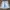 baggy jeans jorts photo 3