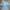 ZARA CHAMBRAY FLUTTER SLEEVE MIDI DRESSES photo 4