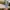 505 CORDURAY LONG PANTS  photo 8