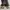 sepatu converse photo 3