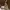 Furla Casual Shoulder bag Wanita tan photo 3