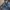 Vintage Streetwear Jeans Pria blue photo 2