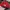 NEW ERA CAP 59FIFTY SPIKE LEE JOINT 1996 photo 3