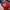 NEW ERA CAP 59FIFTY SPIKE LEE JOINT 1996 photo 2