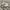Air Jordan 1 Retro High OG Neutral Grey/Silver photo 6