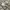Air Jordan 1 Retro High OG Neutral Grey/Silver photo 1