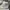 Air Jordan 1 Retro High OG Neutral Grey/Silver photo 5