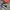 Converse 70s Digital Terrain Resmi PT Map photo 1