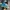 Converse Allstar Hi Blue Chill photo 4