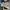 Converse Allstar Hi Palm Trees Archive