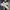 Converse Hi Allstar White photo 2