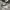 Converse Hi Allstar White photo 1