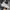 Converse Hi Allstar White photo 4